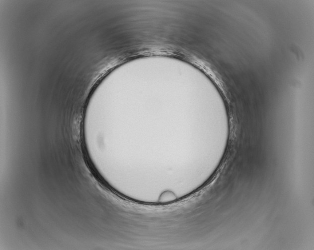 X0000110920010200907301612