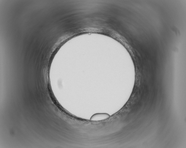 X0000110920011200907301612