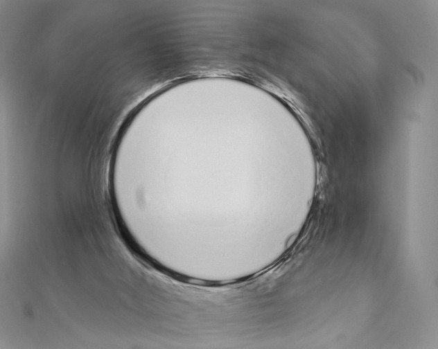 X0000110920012200907301612