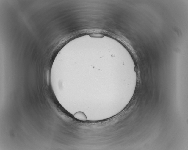 X0000110920013200907301612