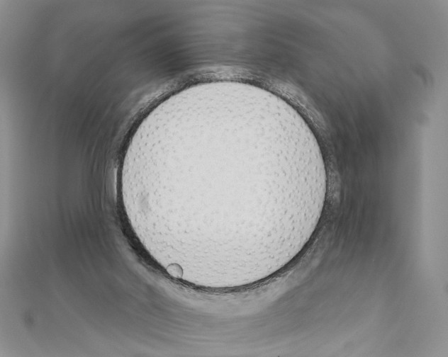 X0000110920014200907301612