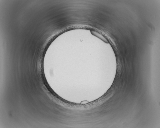 X0000110920015200907301612