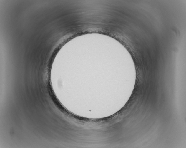 X0000110920016200907301612