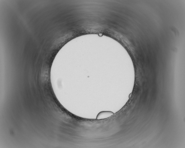 X0000110920017200907301612
