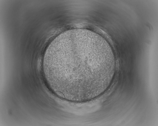 X0000110920018200907301612
