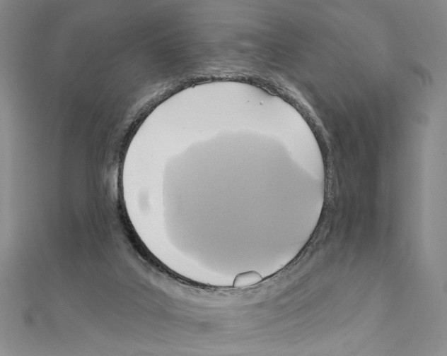 X0000110920019200907301612
