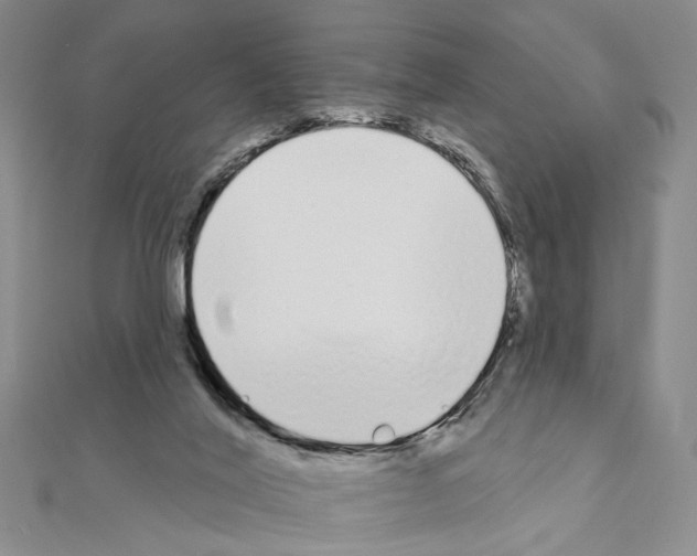 X0000110920020200907301612