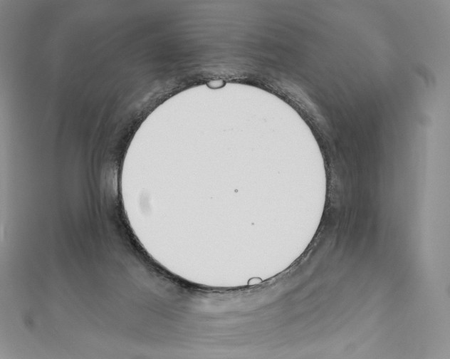 X0000110920021200907301612