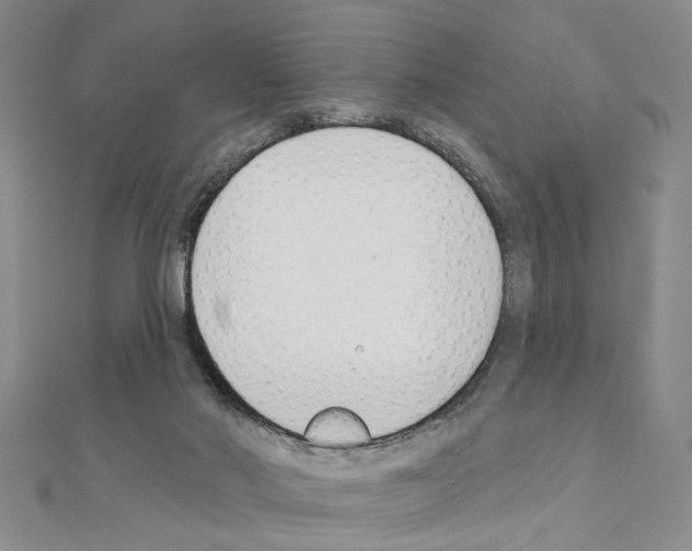 X0000110920022200907301612