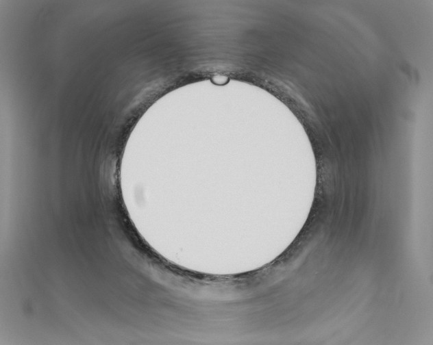 X0000110920024200907301612