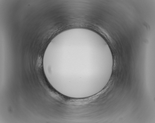 X0000110920025200907301612
