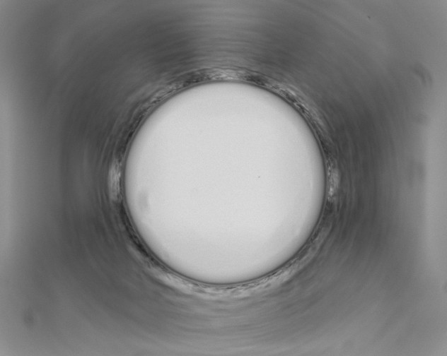 X0000110920026200907301612