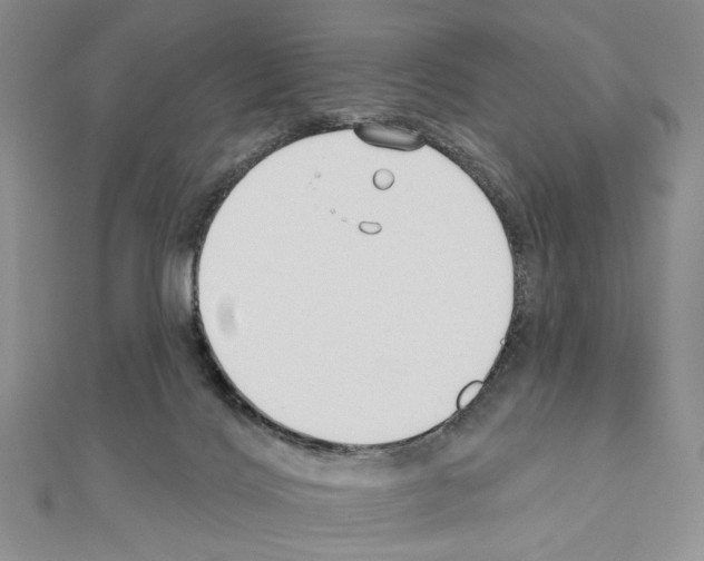 X0000110920028200907301612