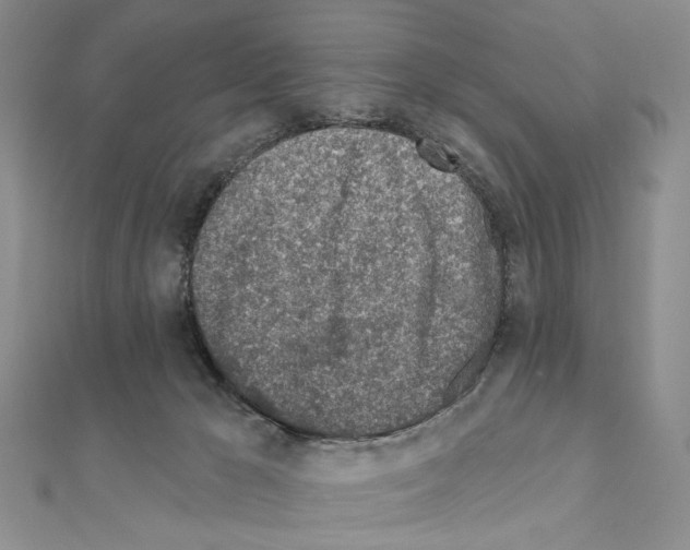 X0000110920029200907301612