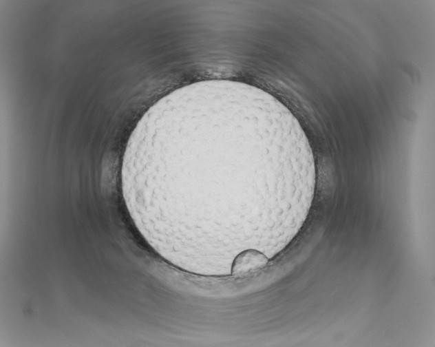 X0000110920030200907301612