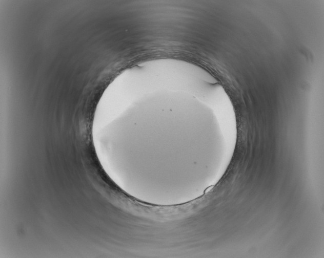 X0000110920031200907301612