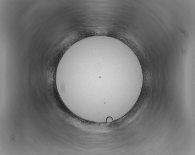 X0000110920032200907301612