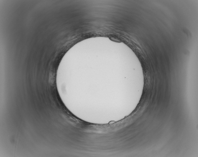 X0000110920033200907301612