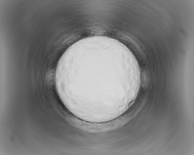 X0000110920034200907301612