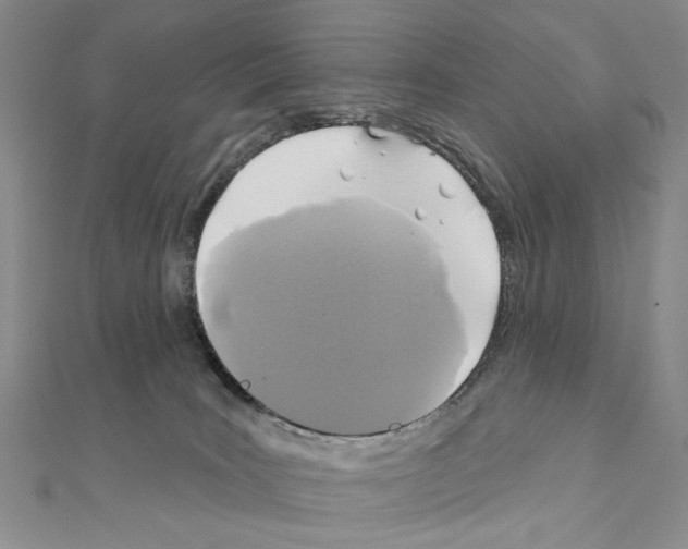 X0000110920035200907301612