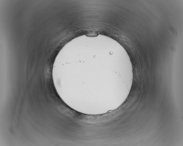 X0000110920037200907301612