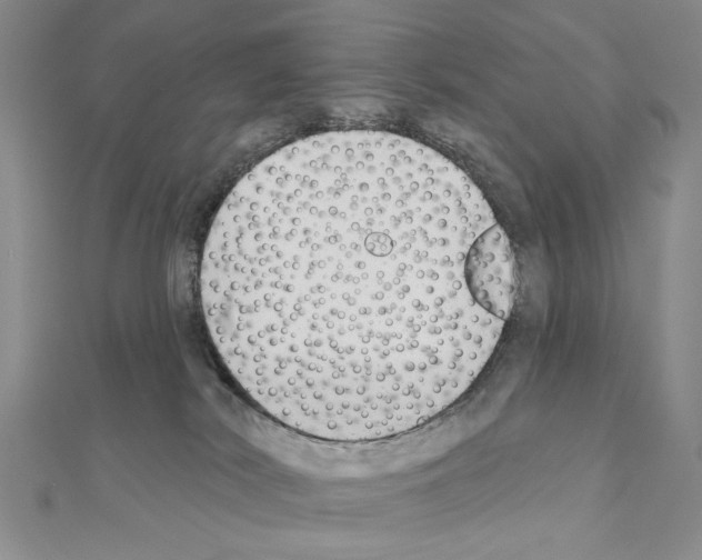X0000110920038200907301612
