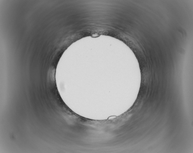 X0000110920041200907301612