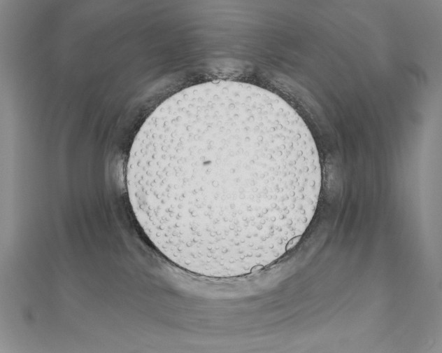 X0000110920042200907301612