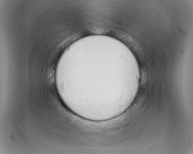 X0000110920043200907301612