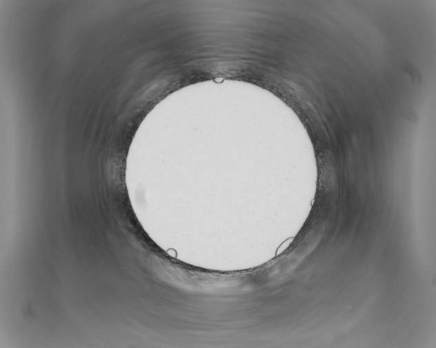 X0000110920044200907301612