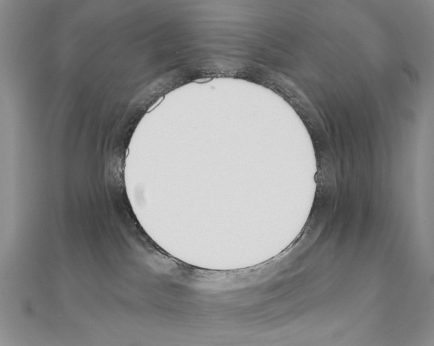 X0000110920045200907301612
