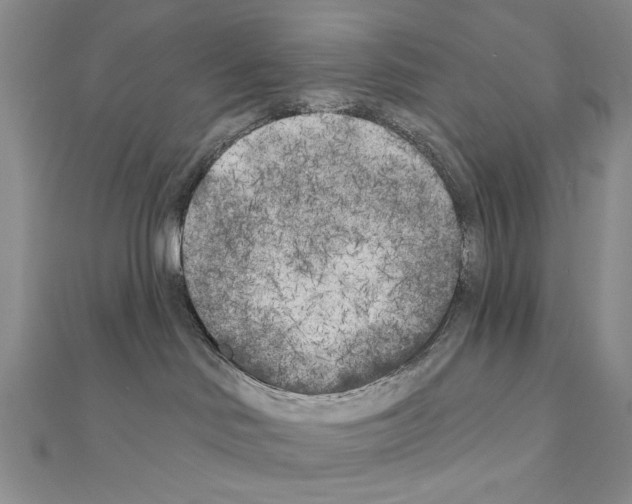X0000110920046200907301611