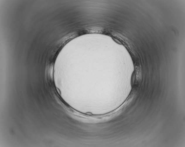 X0000110920047200907301611