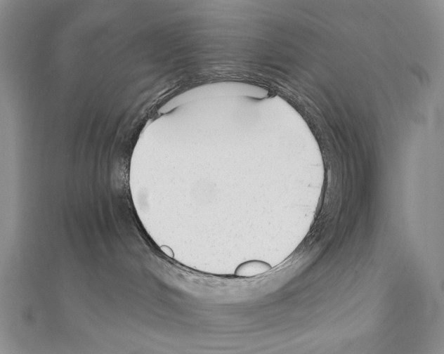 X0000110920048200907301611