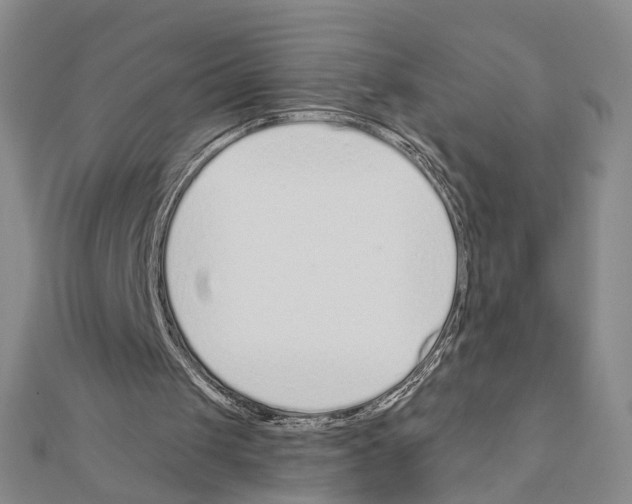 X0000110920049200907301611