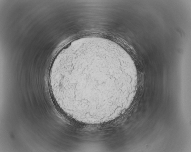 X0000110920051200907301611