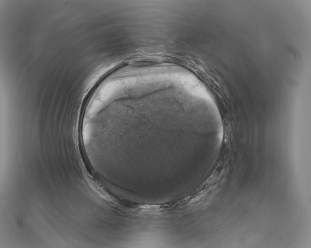 X0000110920052200907301611