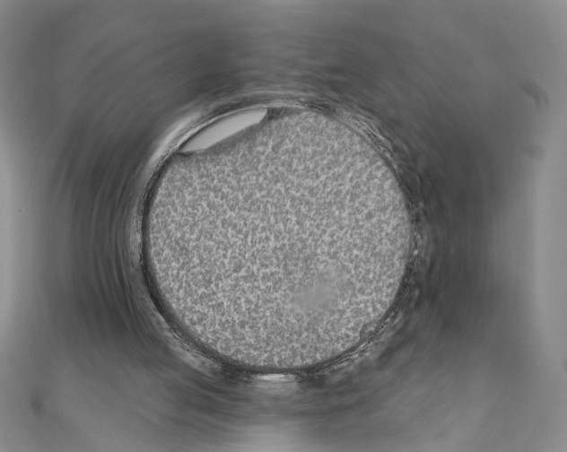 X0000110920053200907301611