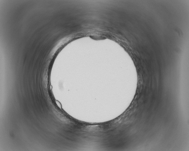 X0000110920054200907301611