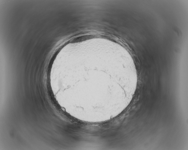 X0000110920055200907301611