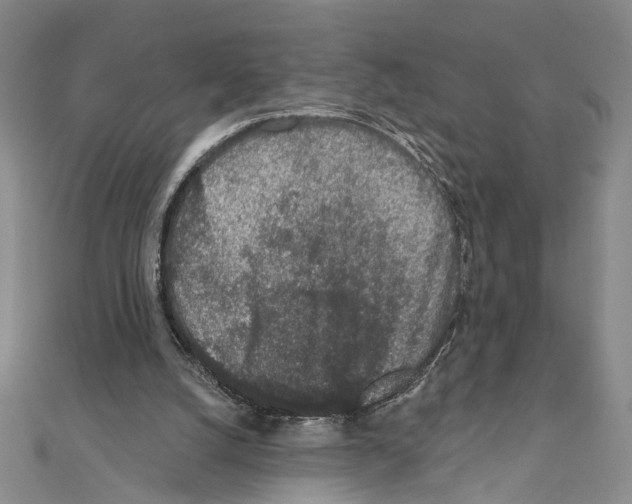 X0000110920056200907301611