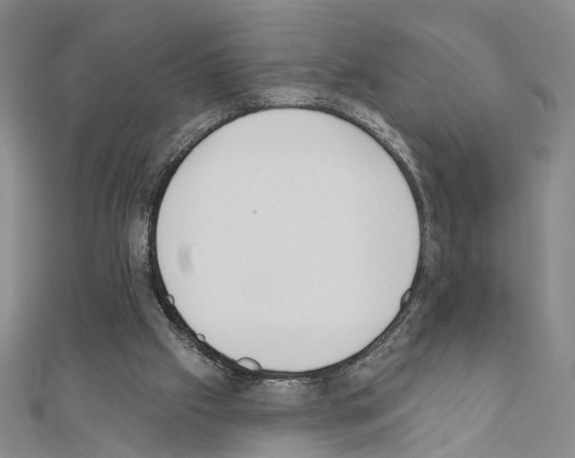 X0000110920057200907301611