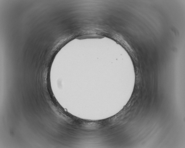 X0000110920058200907301611