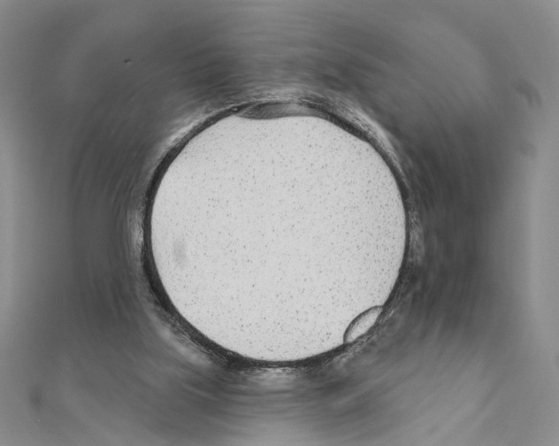 X0000110920059200907301611