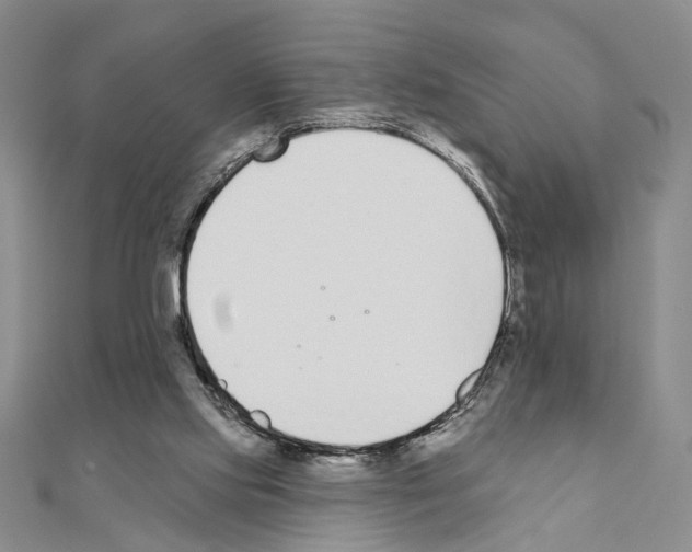 X0000110920061200907301611