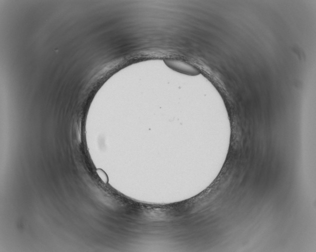 X0000110920062200907301611