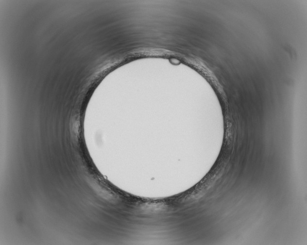 X0000110920063200907301611