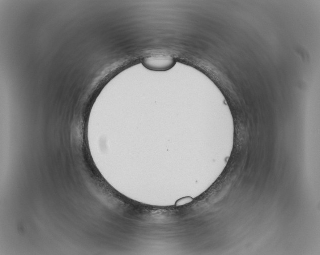 X0000110920064200907301611