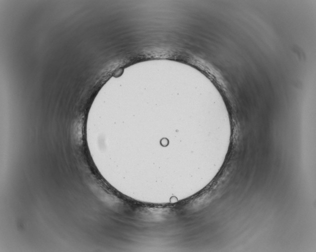 X0000110920065200907301611