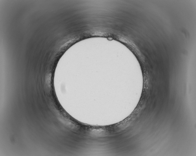 X0000110920066200907301611